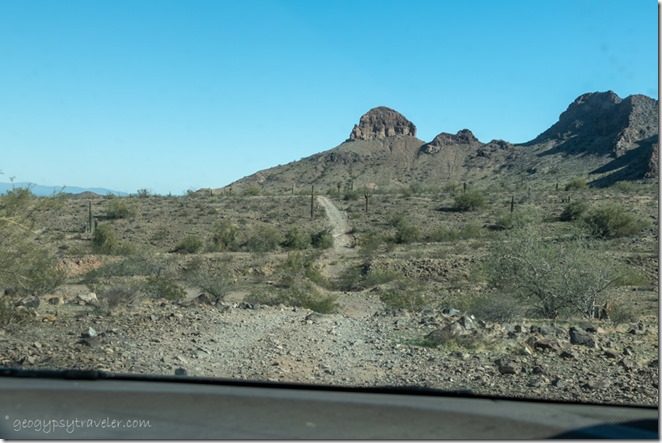 rd not taken desert mts Saddle Mt BLM Tonopah Arizona
