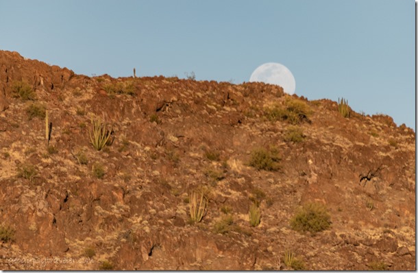 desert Black Mt moon rise BLM Bates Well Rd Ajo Arizona