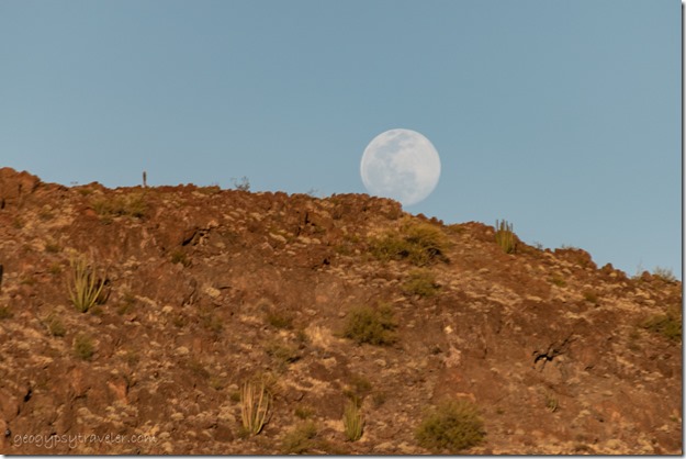desert Black Mt moon rise BLM Bates Well Rd Ajo AZ