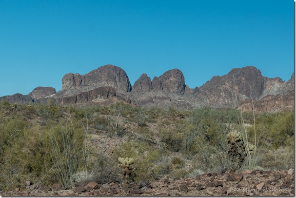 desert Kofa Mts Queen Canyon Rd Kofa National Wildlife Refuge Arizona