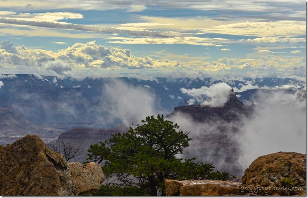 Fog in canyon Cape Royal North Rim Grand Canyon National Park Arizona