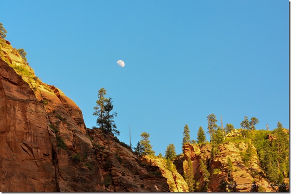 Moon above canyon walls River walk trail Zion National Park South Africa