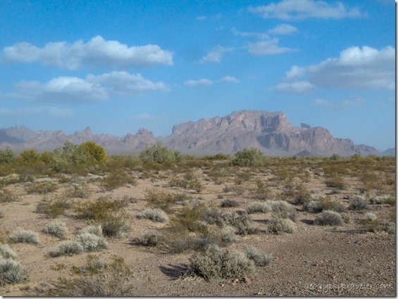 desert dusty Kofa Mts BLM Palm Canyon Rd Kofa National Wildlife Refuge Arizona