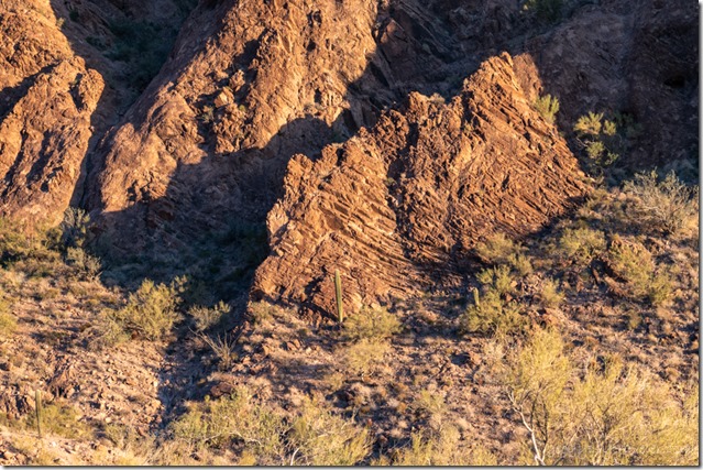 rock & cactus Kofa Mts Palm Canyon Kofa National Wildlife Refuge Arizona