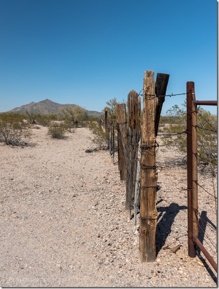 desert gate fence Black Mt BLM8115B Ajo AZ