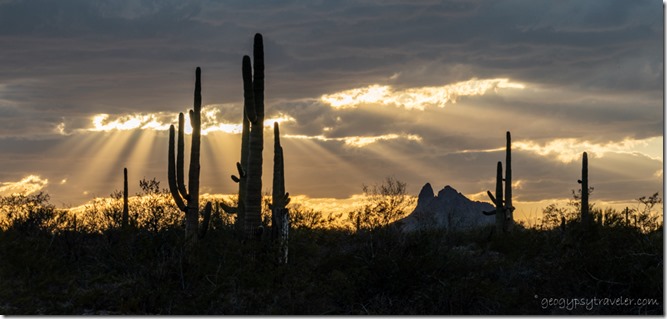 Saguaro desert mts sunset clouds sunrays BLM Darby Well Rd Ajo Arizona