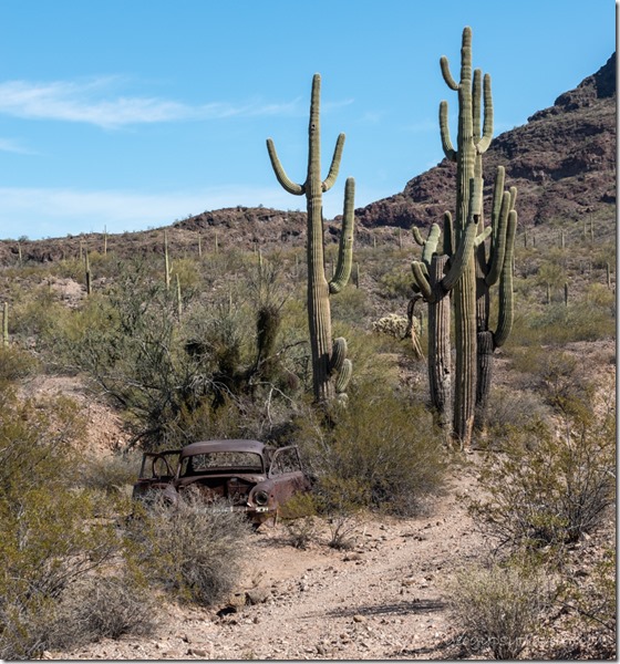 two-track old car Saguaro cactus desert ranch-mine Black Mt BLM Bates Well Rd Ajo AZ