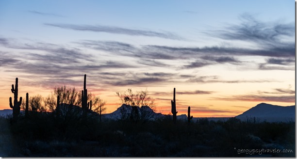 08a DSL_1110lecwfbr Saguaro sunset clouds BLM Palm Canyon Rd Kofa NWR AZ g-2