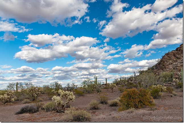 desert clouds BLM8115A Why Arizona