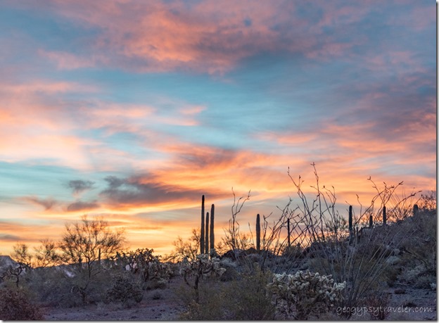 desert sunrise clouds BLM8115A Why AZ