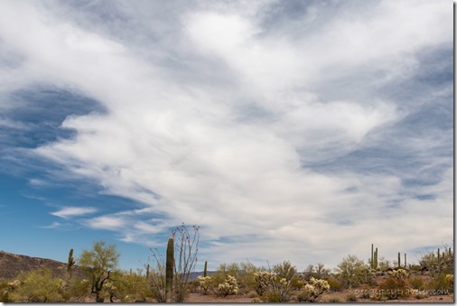 desert clouds BLM8115A Why AZ