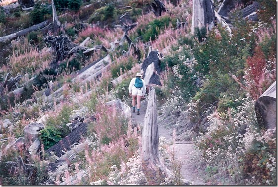 Ron hiking the Norway Pass trail Mt St Helens National Volcanic Monument Washington summer 1992