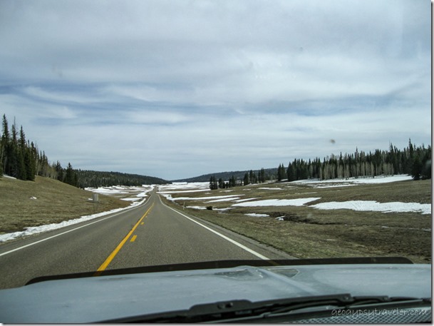 snow meadows Hwy 67 S Kaibab National Forest Arizona