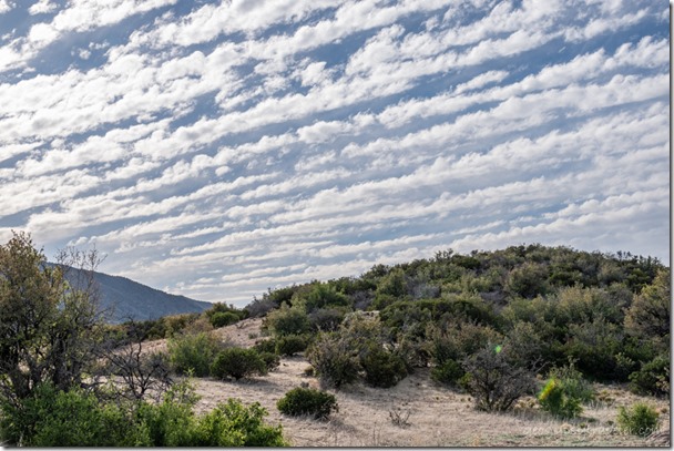 grass brush clouds Skull Valley AZ