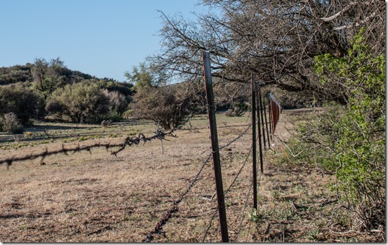 fence line Skull Valley AZ