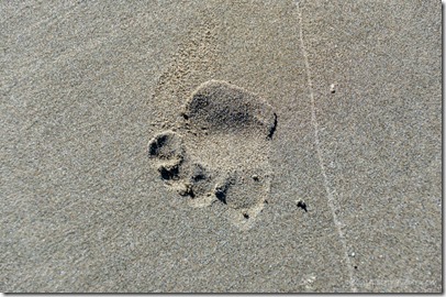 footprint on beach Bandon OR