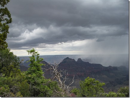 Storm North Rim Grand Canyon National Park Arizona