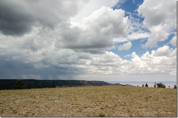 stormy sky Marble View Kaibab National Forest Arizona
