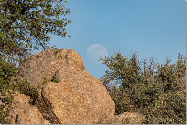 trees boulders moon Skull Valley AZ