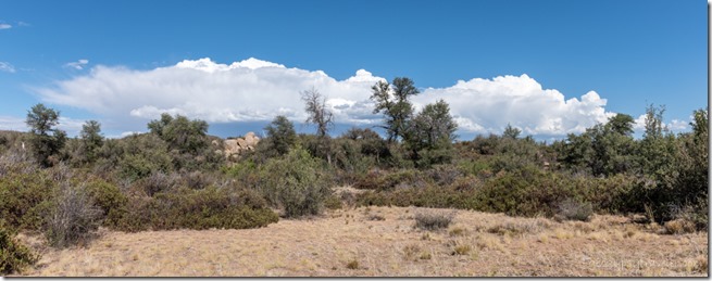 grass trees clouds Skull Valley AZ