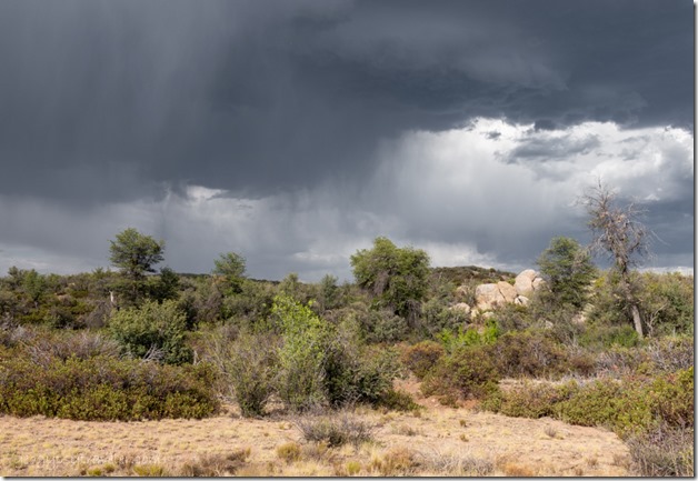 grass trees storm clouds virga Skull Valley AZ