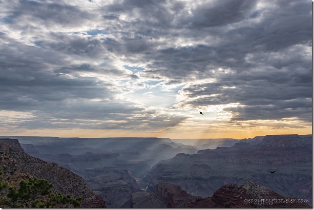 late light canyon birds storm clouds sun rays Desert View South Rim Grand Canyon National Park Arizona