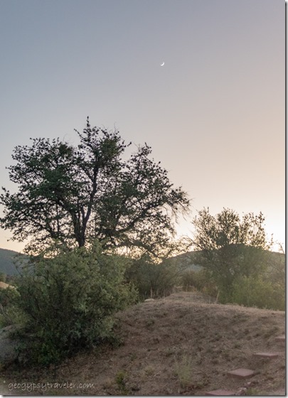 yard tree crescent moon Skull Valley AZ