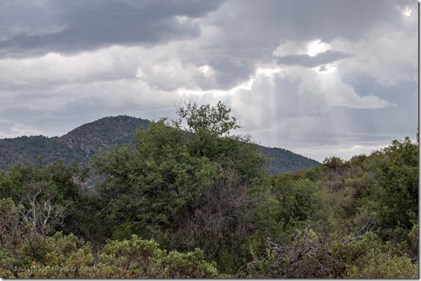 trees Brushy Mt storm clouds crepuscular rays Skull Valley AZ