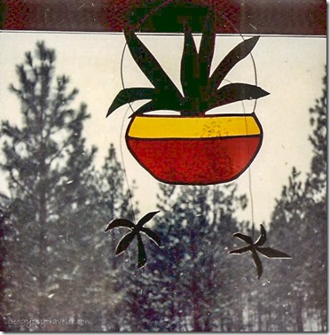 stained glass Spider plant Tonasket WA 1982