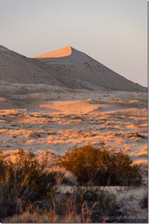 Late light Kelso Dunes Mojave NP CA