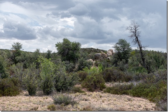 grass trees boulders storm clouds Skull Valley Arizona