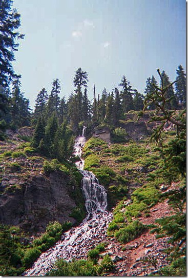 trees waterfall Rogue River NF OR July 2002