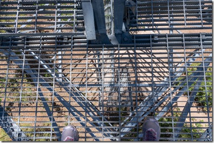 looking down thru Grandview lookout tower Kaibab National Forest Arizona