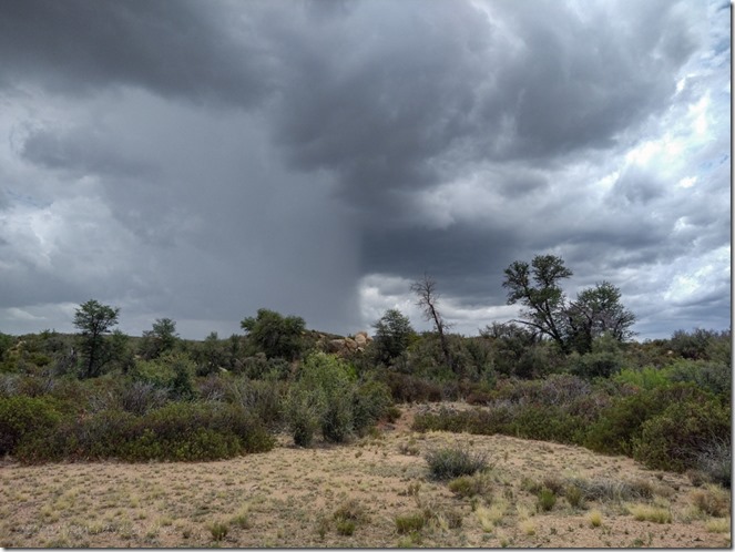 grass trees storm clouds Skull Valley Arizona