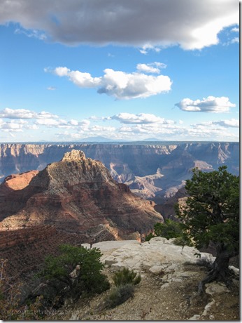 View S from Cape Royal Walhalla Plateau North Rim Grand Canyon National Park Arizona