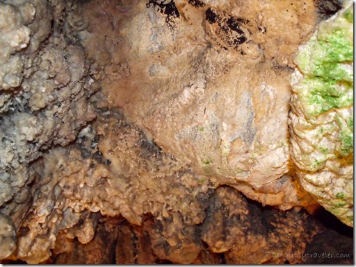 Algae on cave walls Cango Cave Little Karoo Western Cape South Africa