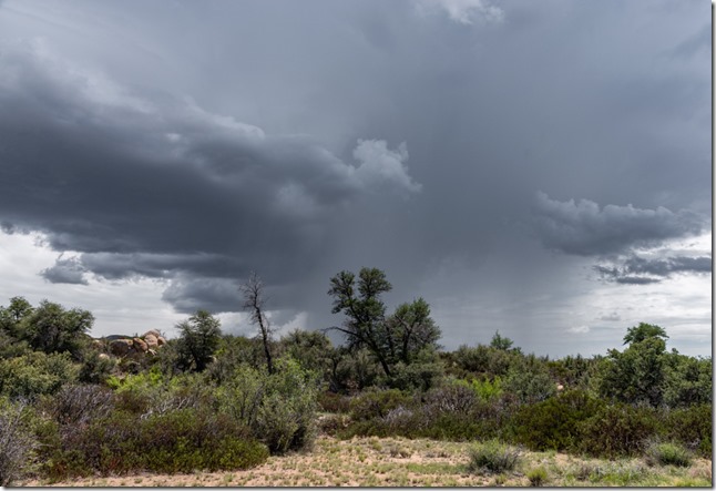 stormy view E with rain Skull Valley AZ