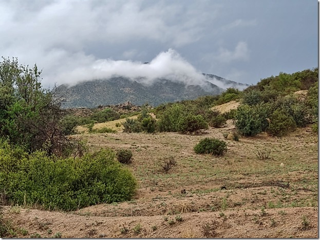 grass bush low clouds Brushy Mt Skull Valley AZ