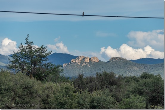 view E trees rock Bradshaw Mts bird on wire Skull Valley AZ