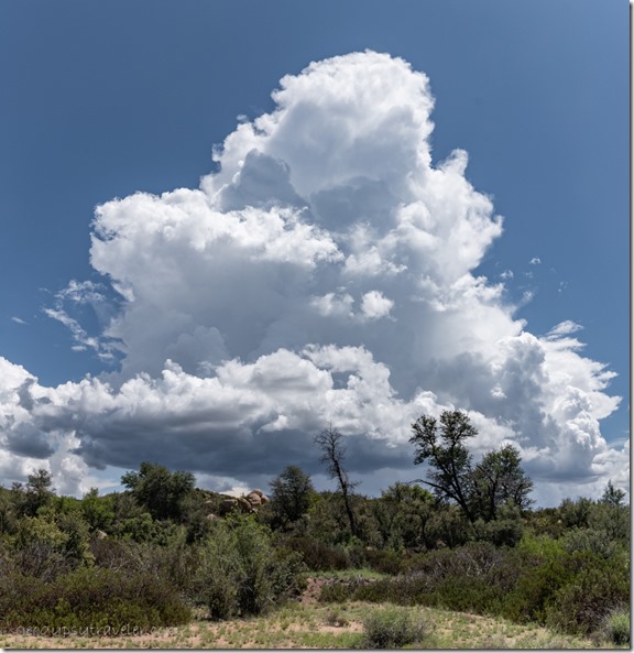 Cumulus cloud Skull Valley AZ