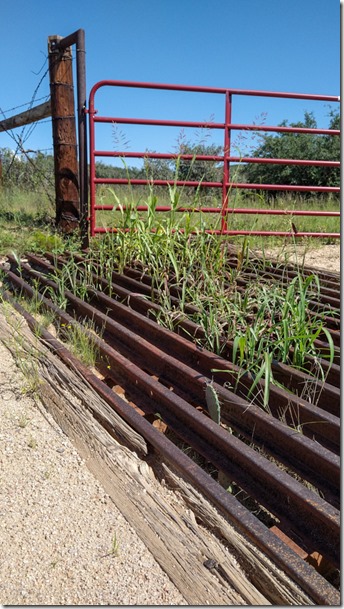 plants cattle gaurd fence gate Skull Valley AZ