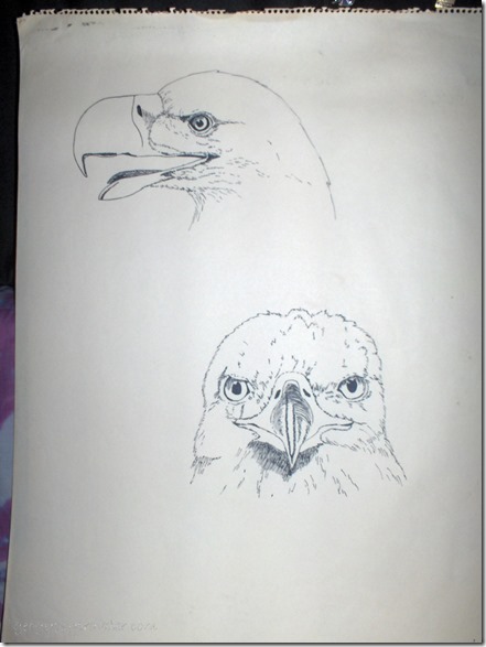 Ink Eagle portrait Shoreline WA 1988