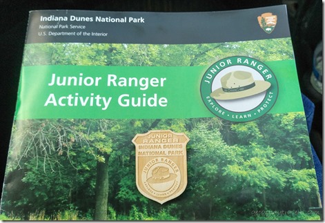 IN Dunes NP Jr Ranger badge & book