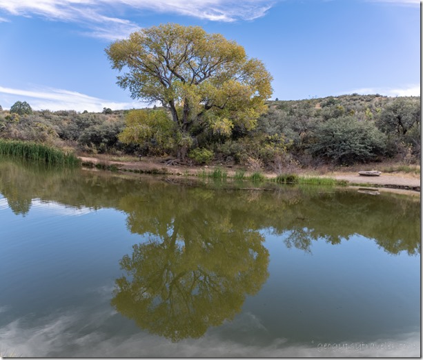 tree reflection Fain Lake Pk Prescott Valley AZ