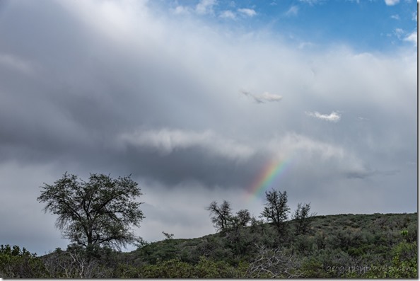 trees rainbow clouds Skull Valley AZ