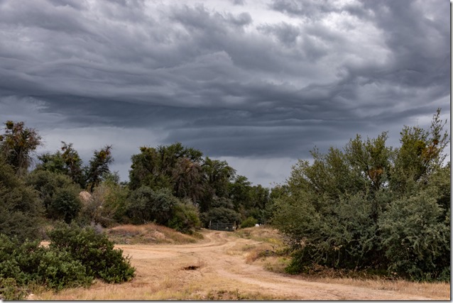 driveway trees storm clouds Skull Valley AZ