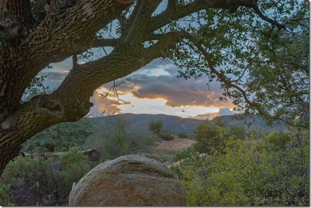 boulder tree sunset clouds Skull Valley AZ