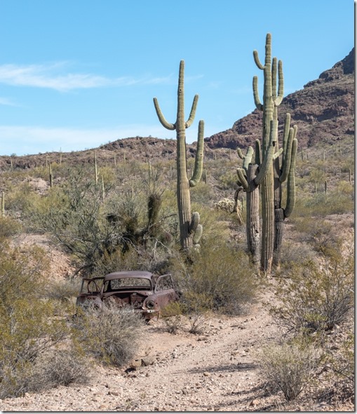 two-track old car Saguaro cactus desert ranch-mine Black Mt BLM Bates Well Rd Ajo AZ