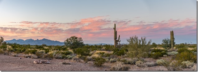 Saguaro desert mts sunset clouds BLM Palm Canyon Rd AZ