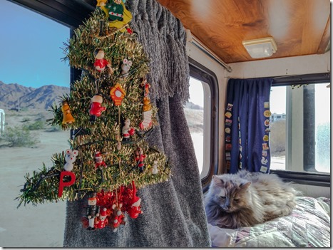 Christmas tree & Sierra in camper BLM-VFW camp Yuma AZ